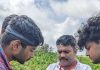 अनेक दशकांपासून चुकलेल्या, पुण्याच्या सुस टेकडीवरील लहान फुलांच्या रोपाची अखेर नवीन प्रजाती म्हणून ओळख | पुणे बातम्या